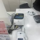 여성크로커다일화서점