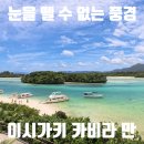 넘버원글라스 | [이시가키] 눈 부신 영롱함 '카비라만' 글라스 보트와 전망대 후기 (+할인 꿀팁)