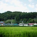 충신 김한정 정려 | 효의 문이 서 있는 도시 — 세종, ‘효자의 고장’이 된 이유