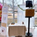 장안웃길 이미지