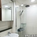 에코아바 이미지