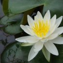 다은농장 이미지