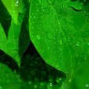 천연화장품 이미지