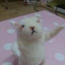 니들펠트 이미지