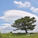 하늘구름목장 이미지