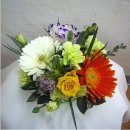 일상 속 생활 꽃꽂이 이미지