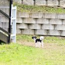 멍스빌리지풀빌라2 이미지