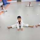 경화태권도장