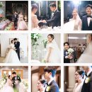로이엘포토그라피