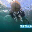 [보홀 여행] <오션스쿨> 나팔링 체험 프리다이빙 후기(내돈내산)