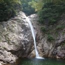 정우초등학교 Daum카페