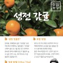 정암농장 이미지