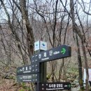 제793차 대구등고선산악회 토요정기산행// 봉화 태백산 // 01월31일 토요일// 법원 05시 출발 이미지