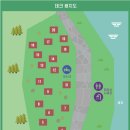 호명산잣나무숲속캠핑장 이미지