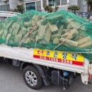 무릉도원면-4 이미지