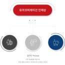 유라코퍼레이션 채용 연봉 근무지 인재상 3분 총정리