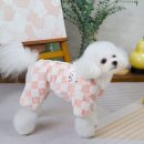 애견# 이미지