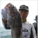 인천유선 이미지