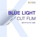 YC인터내셔날 이미지