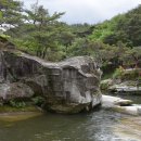 삼동암1리 경로당 | 거창여행 - 3. 영남 제일의 동천으로 꼽힌 안의삼동(安義三洞)의 수승대(搜勝臺) ③ 거북바위(居昌 搜勝...