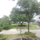 부들펜션 이미지