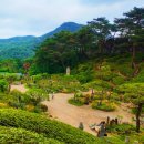 목인박물관 목석원 | 목인박물관 목석원 | 서울 부암동 명소 데이트코스 카페