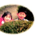 마암초등학교 이미지