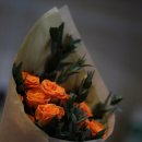 서울장신대학교 영성심리치유대학원 이미지