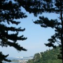 그루터기 이미지