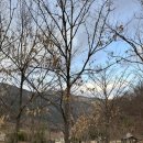 자굴산편의점 이미지