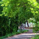 두량저수지 이미지