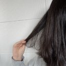 어썸헤어 모라점 | 겨울철 두피 각질 순한샴푸 찾고 있다면 화미사 샴푸 추천