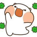 라미 Balance Fit 이미지