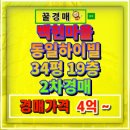 분당백현-D-14 | 백현마을 동일하이빌 중동 아파트 경매 4억