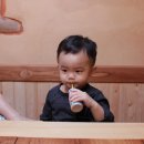 여시코빼기 이미지