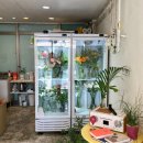 꽃;들때 네이버블로그