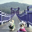 천사대교 관광안내소 이미지