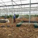 형진농장 이미지