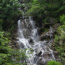 나무쉼터 이미지