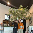 모멘토하우스 이미지