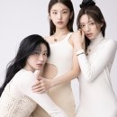 싱글즈 카카오 검색결과