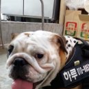 사박이 Daum카페