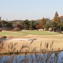 수원-1255 이미지