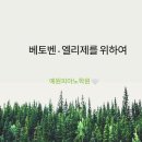 엘리제피아노학원 이미지