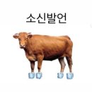 소신 이미지