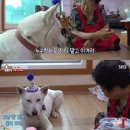 탐라영재관 | 탐라영재관 후기 +) 탐라 하우스