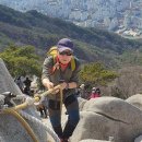 화랑대역 1번출구 버스정류장 이미지