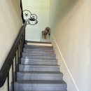 둘리노래연습장 이미지