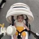 서울떡방아간 - 관악구 관악로29길 5 | 서울떡방아간