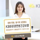 KB손보, 양·한방 동시 보장 ‘KB든든양한방건강보험’ 출시 이미지